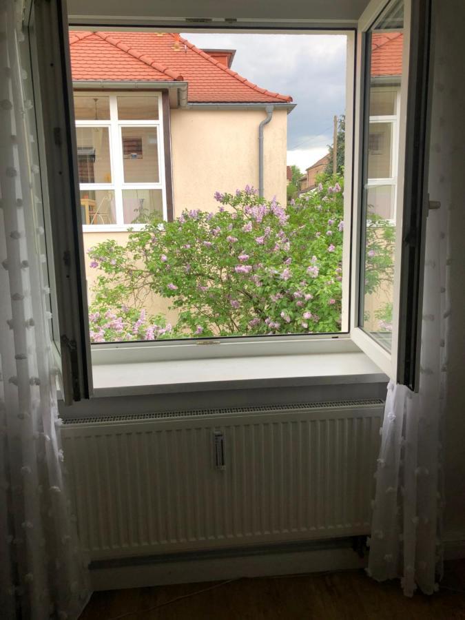 Апартаменты Wohlfuehloase Dresden Nickern Экстерьер фото